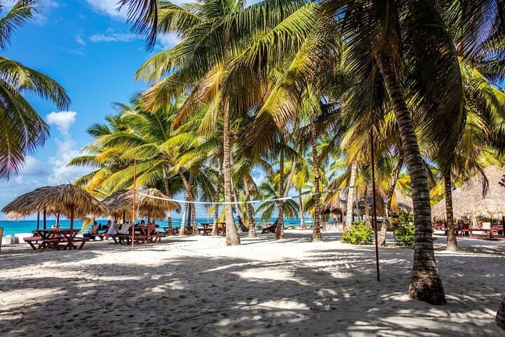Saona Island Cruise & Private Beach: Day Trip from Bayahibe photo 4