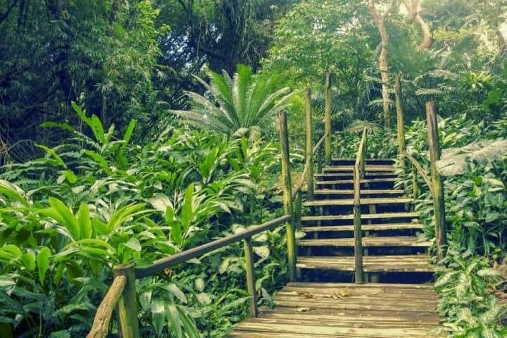 Full-Day Nadi & Sabeto Mud Pools Tour — Garden of the Sleeping Giant Experience