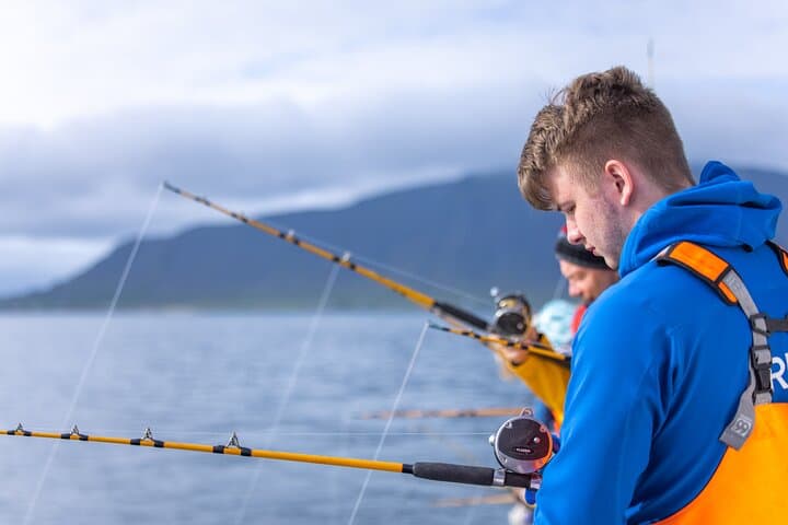 Reykjavik Sea Fishing Tour — Half-Day Cod & Halibut Trip