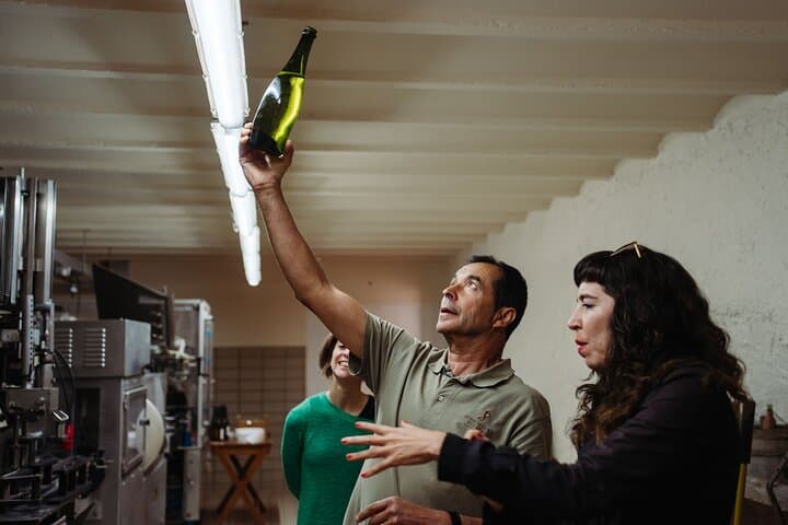 Montserrat Monastery & Family Cava Winery Day Trip from Barcelona photo 5