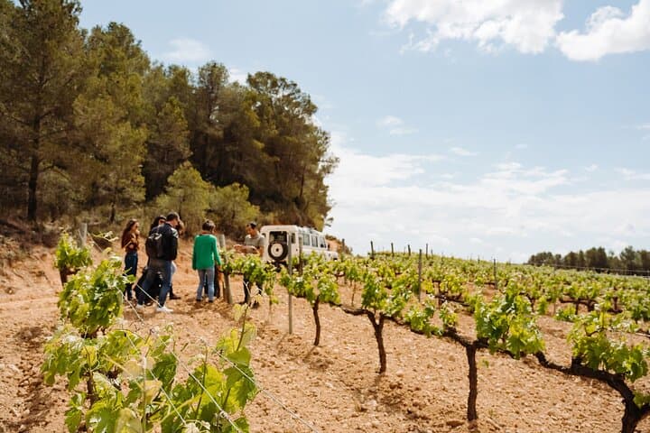 Montserrat Monastery & Family Cava Winery Day Trip from Barcelona photo 3