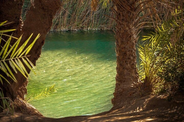 Preveli Palm Beach & Damnoni: Full-Day Trip From Chania photo 6