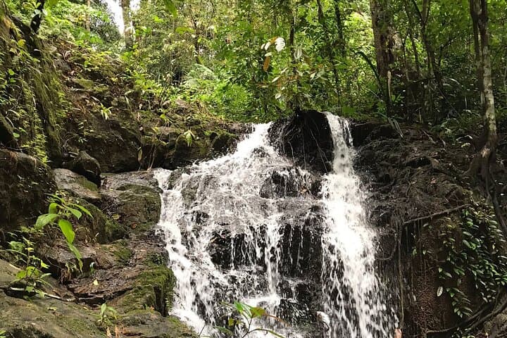 4-Waters Eco Adventure from Phuket — Khao Phra Thaeo to Natai Beach photo 3