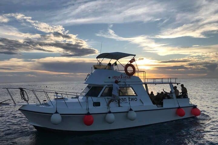 Afternoon Reefs: Certified Diving Experience on Cozumel’s Barrier photo 3