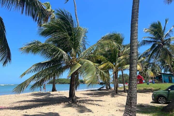 Private Transfer San Juan to Luquillo & Rio Grande — Reliable One-Way Shuttle to El Yunque Gateway photo 3