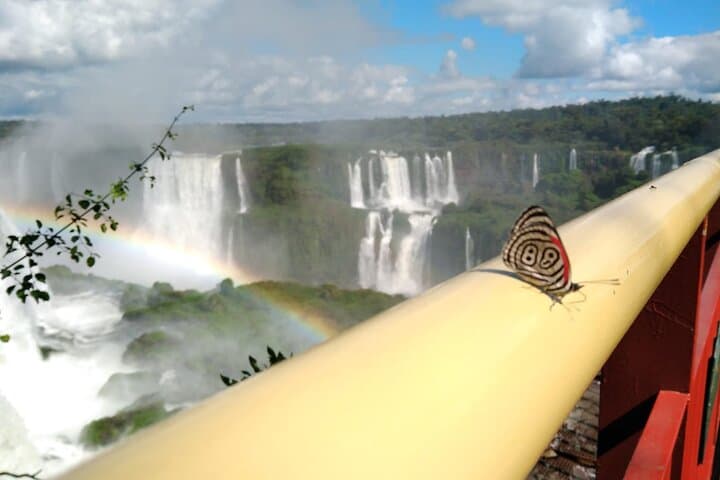 Iguaçu Falls & Parque das Aves: Brazilian-Side Tour with Tickets photo 1