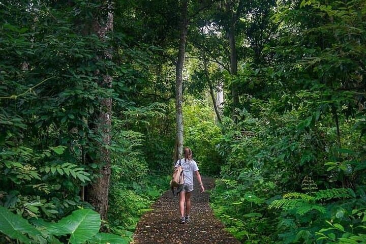 Luang Prabang Zipline Adventure: 15-Station Jungle Canopy Tour (1.3 km) photo 6