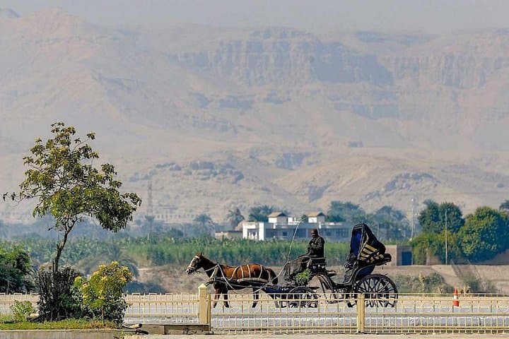 Luxor After Dark: Horse Carriage, Luxor Museum & Karnak Sound and Light photo 4