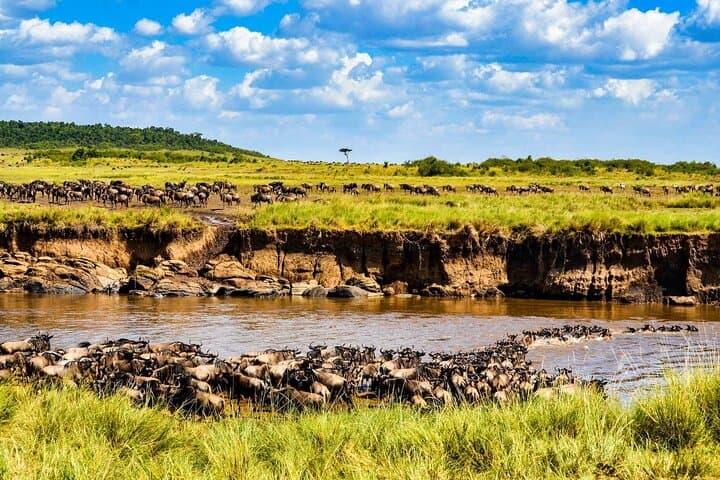 3-Day Maasai Mara Guided Safari: Wildlife, Culture & Great Rift Valley