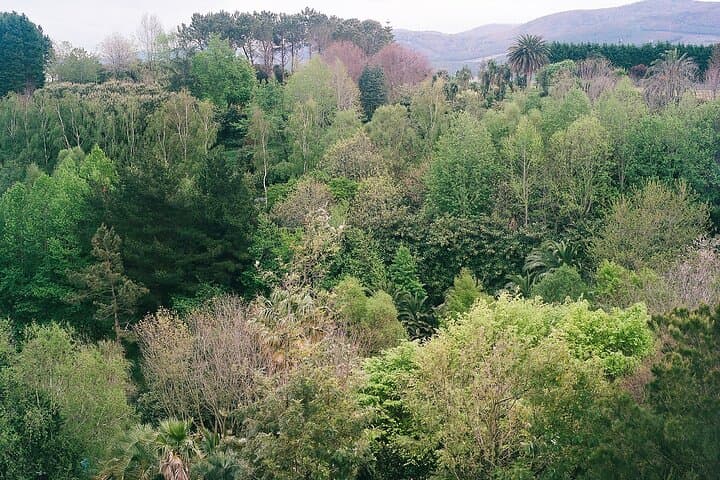Private Fonte Baxa Garden Tour in Luarca — Exclusive 2-Hour Visit photo 3
