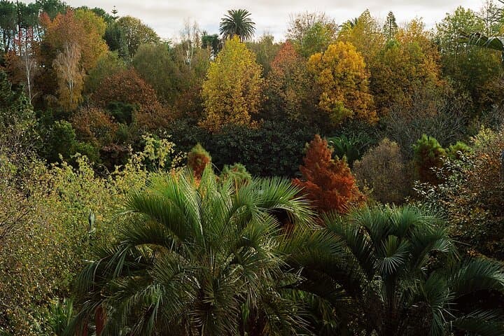 Private Fonte Baxa Garden Tour in Luarca — Exclusive 2-Hour Visit photo 4