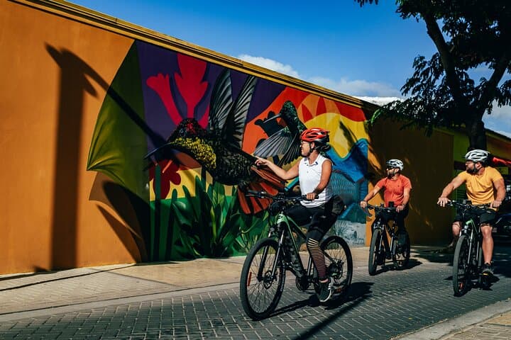 San Nicolas Culture Heritage E-Bike Tour — Beaches, Murals & Spanish Lagoon Wetlands photo 2
