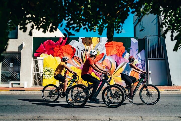 San Nicolas Street Art & Coastal E‑Bike Tour — Mural Mile to Baby Beach photo 6