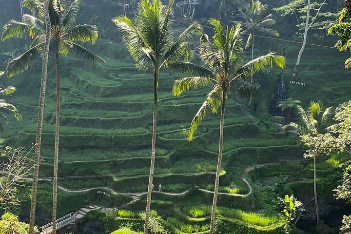 Private Car Charter With Driver in Bali — 10-Hour Ubud & Coast Custom Tour photo 3