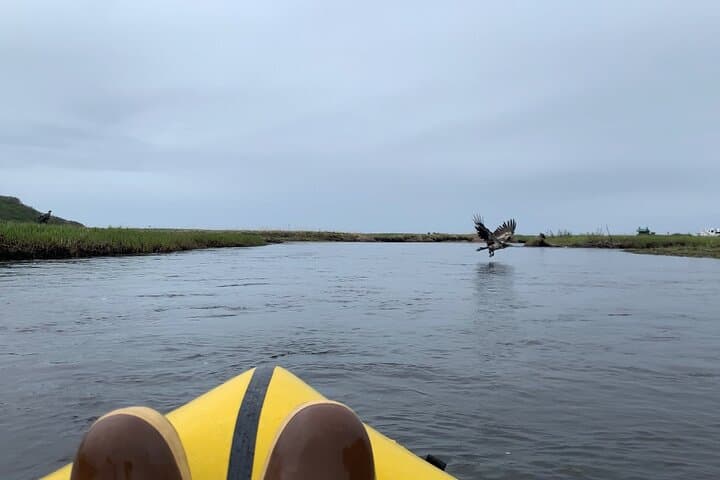 Deep Creek Packraft Tour: Half-Day Ninilchik River to Cook Inlet photo 3