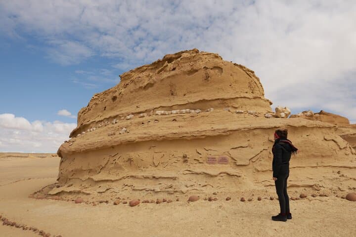 Full-Day Wadi El Rayan & Wadi El Hiten Tour from Cairo — Waterfalls, Fossils & Sandboarding photo 6