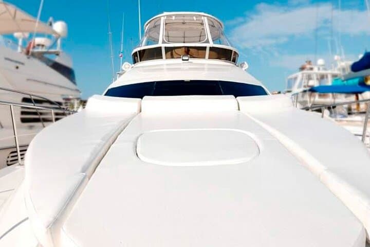 Private Luxury Yacht Charter in Bahía de Banderas — Sea Ray 440 for 12 photo 3