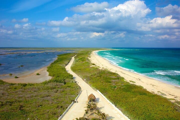Cozumel Buggy & Snorkel Beaches Tour — All-Inclusive Beach Club Adventure photo 3