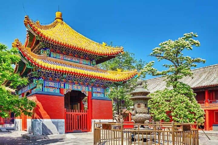 Beijing Private Walking Tour: Lama Temple, Tiananmen & Forbidden City