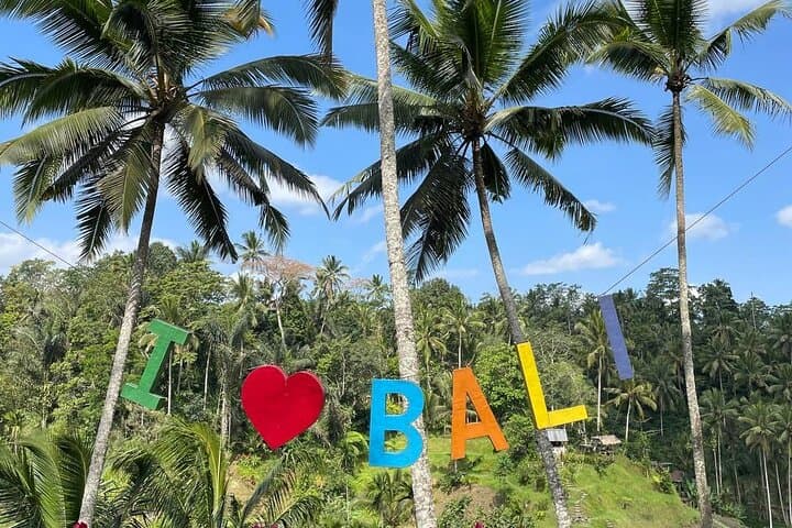 Ubud Traditional Tour: Waterfalls, Rice Terraces & Temple Highlights photo 4
