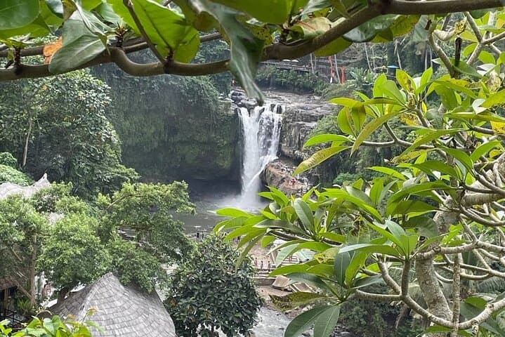 Ubud Traditional Tour: Waterfalls, Rice Terraces & Temple Highlights photo 6