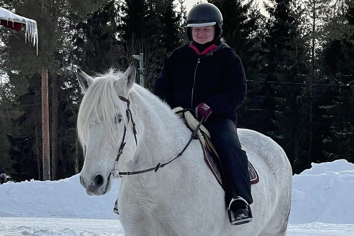 Finnhorse Riding at Santa Claus Village: Gentle Lapland Trails & Campfire photo 2