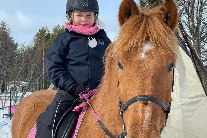 Finnhorse Riding at Santa Claus Village: Gentle Lapland Trails & Campfire photo 4