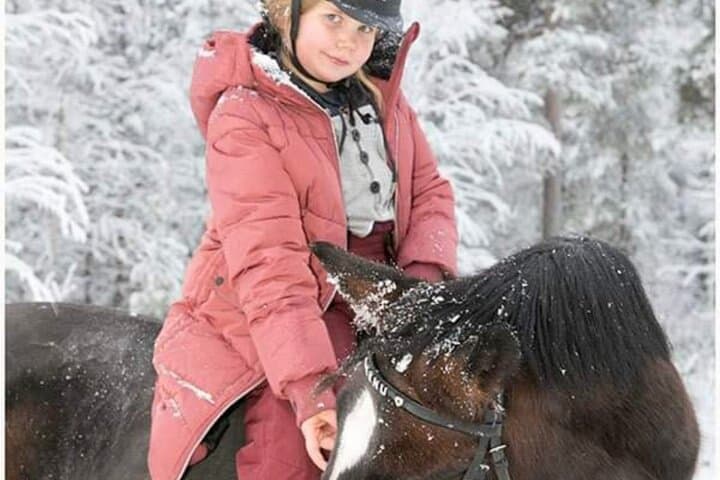 Finnhorse Riding at Santa Claus Village: Gentle Lapland Trails & Campfire photo 5
