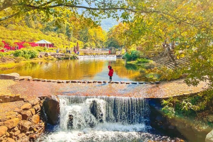 Shimen Forest & Conghua Hot Spring: Private Day Tour from Guangzhou
