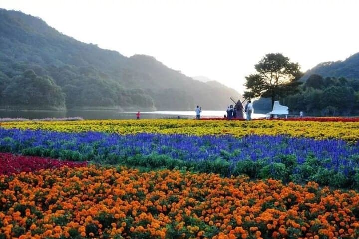 Shimen Forest & Conghua Hot Spring: Private Day Tour from Guangzhou photo 2