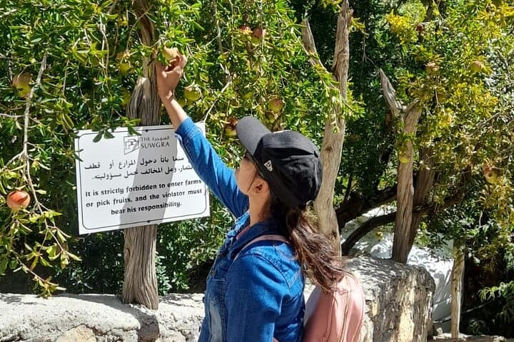 Jebel Akhdar & Birkat Al Mouz: Private Full‑Day Tour to Al Suwjara and the Green Mountain