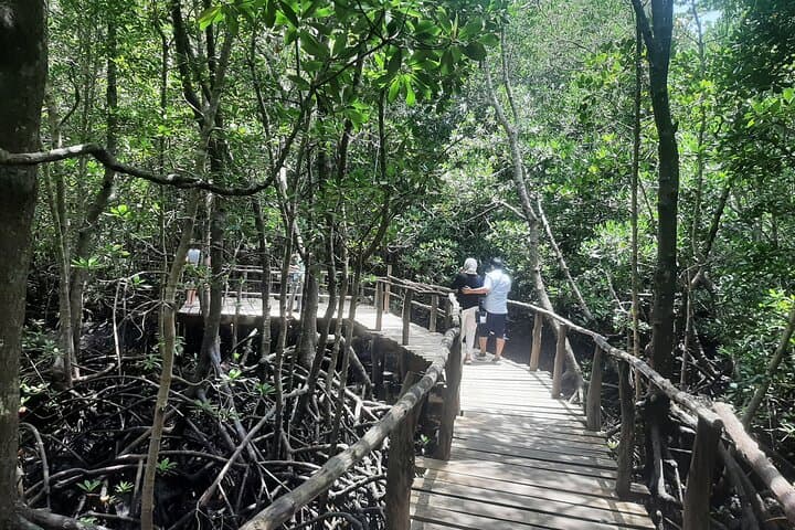 Exploring Zanzibar: Private Spice Farm Visit and Jozani Forest Day Tour