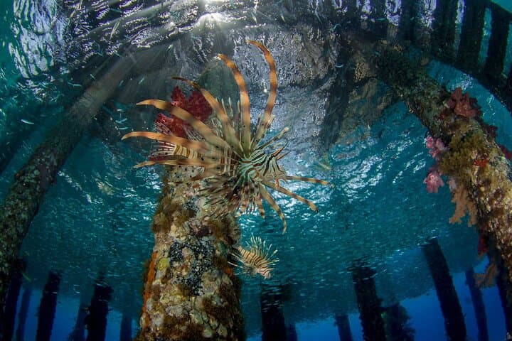Discover Scuba Shore Dive with Private Beach Access in Aqaba photo 2