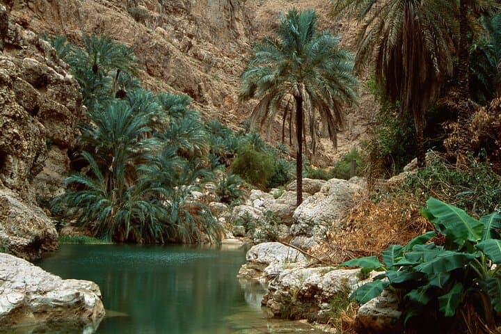 Full-Day Wadi Shab Hike and Bimmah Sinkhole Swim from Muscat photo 2