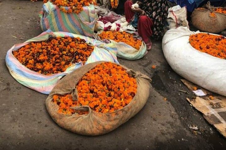 Women-Only Full-Day Jaipur Tour — Pink City Forts, Markets & Local Life photo 2