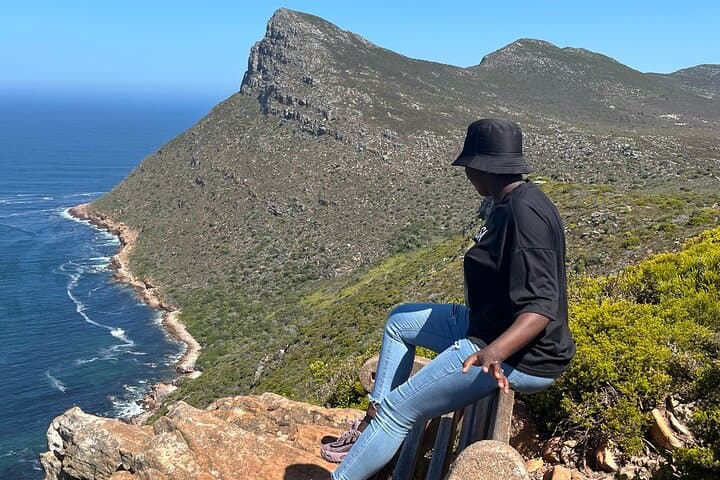 Private Guided Peninsula Tour: Table Mountain, Cape Point & Boulders Beach Penguins photo 3