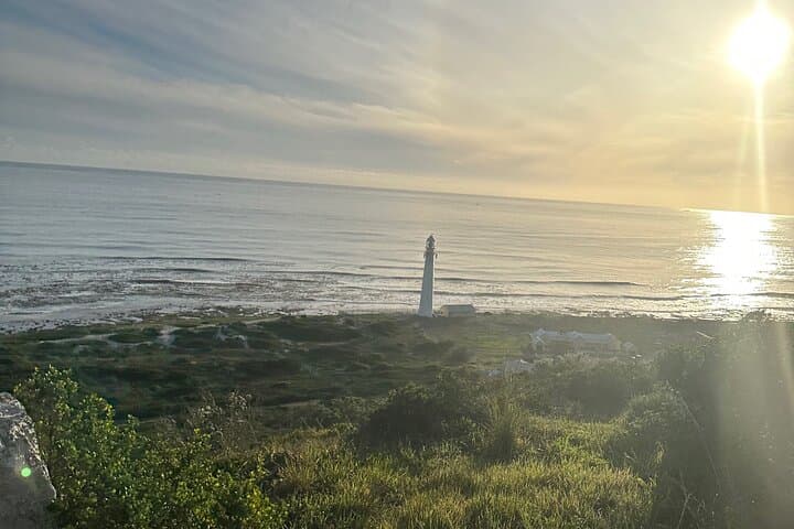 Private Guided Peninsula Tour: Table Mountain, Cape Point & Boulders Beach Penguins photo 4