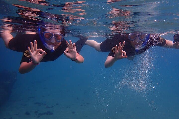 Snorkel Lanzarote: Guided Playa Chica Reef Experience in Puerto del Carmen