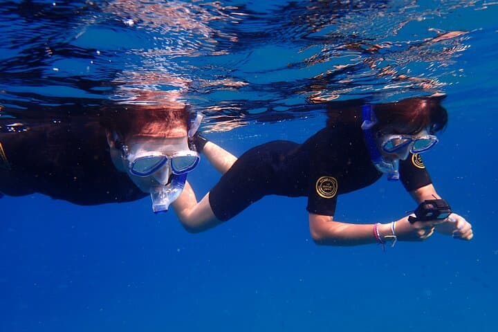Snorkel Lanzarote: Guided Playa Chica Reef Experience in Puerto del Carmen photo 6