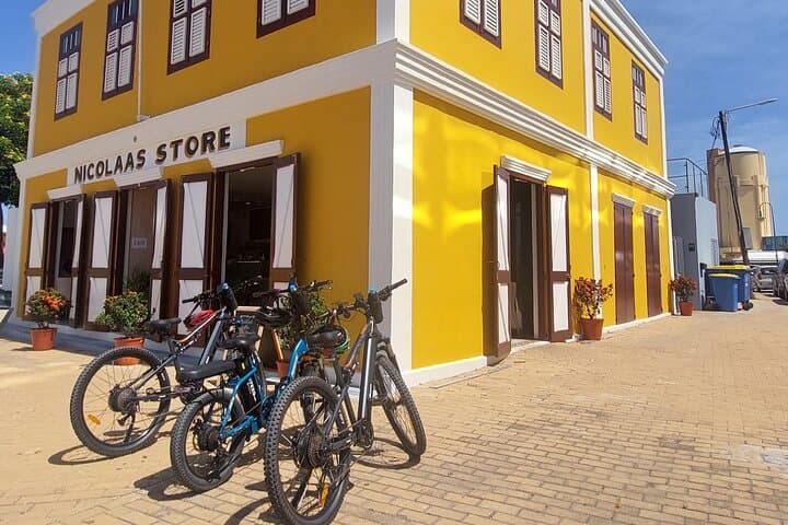 San Nicolas Street Art & Coastal E‑Bike Tour — Mural Mile to Baby Beach photo 4