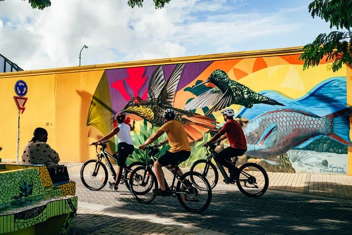 San Nicolas Street Art & Coastal E‑Bike Tour — Mural Mile to Baby Beach photo 5