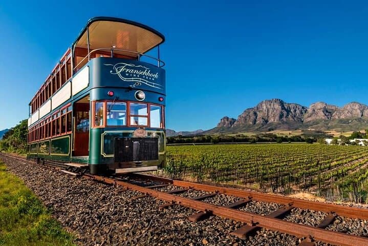 Stellenbosch & Franschhoek Wine Tasting Private Tour from Cape Town — Cape Winelands Day Trip photo 1