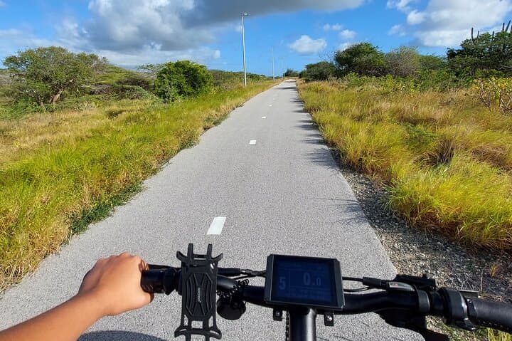 San Nicolas Culture Heritage E-Bike Tour — Beaches, Murals & Spanish Lagoon Wetlands photo 6