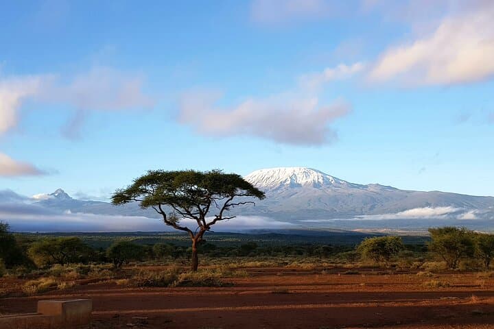 Amboseli National Park Day Safari from Nairobi — Kilimanjaro Views & Elephant Herds photo 2