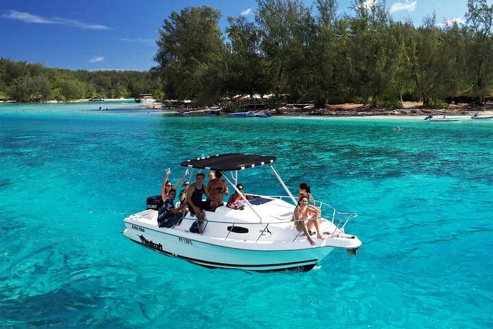 Private Moorea Boat Tour: 6-Hour Snorkel, Lunch & Lagoon Wildlife
