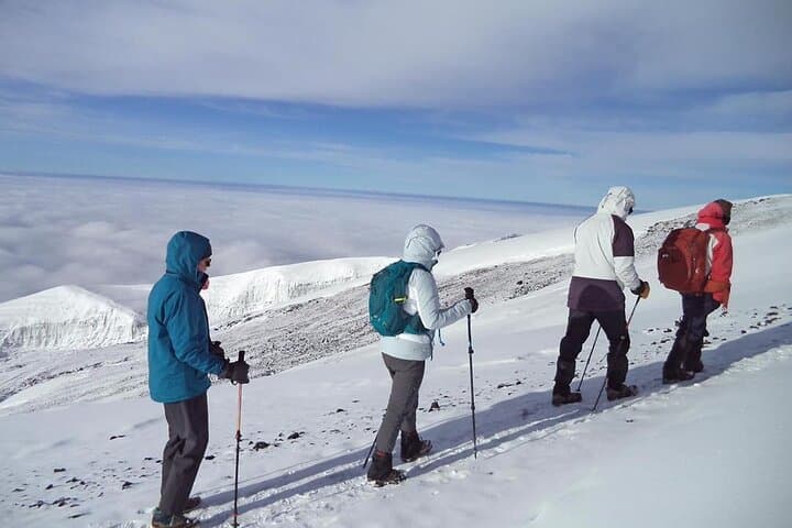 7-Day Lemosho Route Kilimanjaro Trek: Acclimatize to Uhuru Peak photo 6