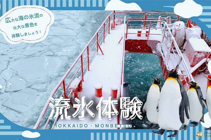 Hokkaido Winter Two-Day: Icebreaker Cruise, Sounkyo Gorge & Asahiyama Zoo photo 1