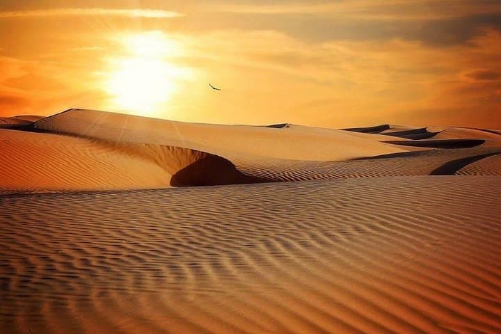Wahiba Sands & Wadi Bani Khalid: Private Desert Safari From Muscat photo 4