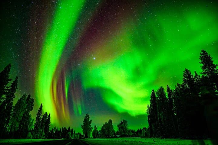 Guaranteed Northern Lights Hunt from Rovaniemi — Lapland Aurora Minivan Experience photo 5