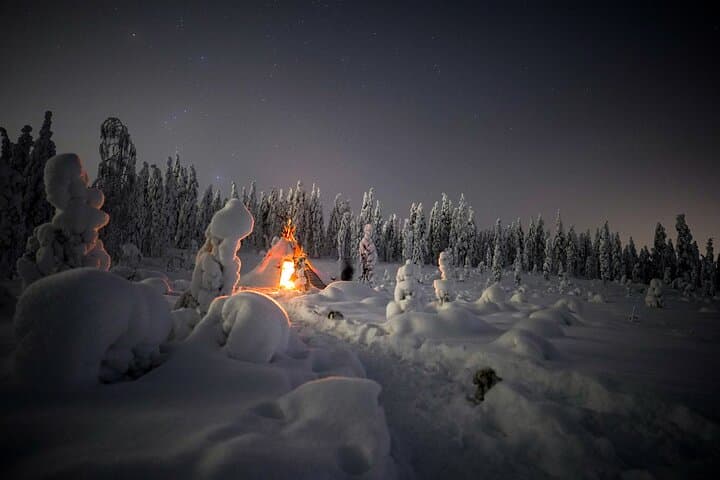 Night Snowshoeing Under the Northern Lights — Rovaniemi Arctic Adventure photo 4